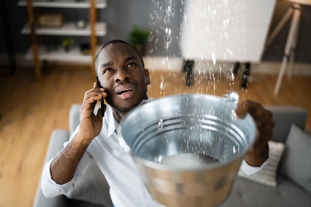 Best Water damage mitigation services  in South Brooksville, FL
