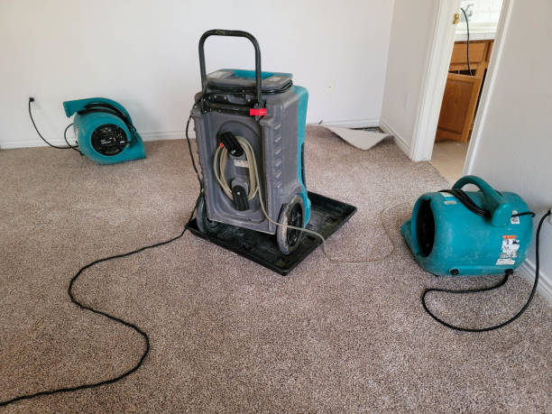 Best Water damage restoration company  in South Brooksville, FL