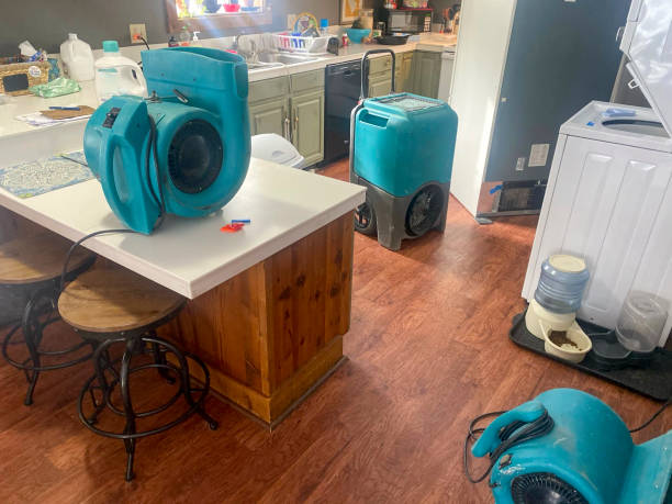 Best Water damage restoration insurance claims  in South Brooksville, FL