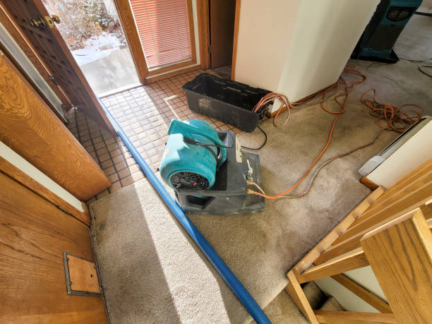 Best Fire Damage Restoration  in South Brooksville, FL