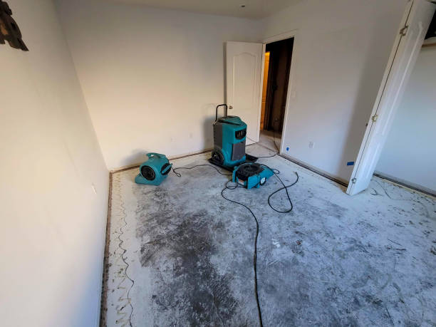 Best Water damage cleanup near me  in South Brooksville, FL