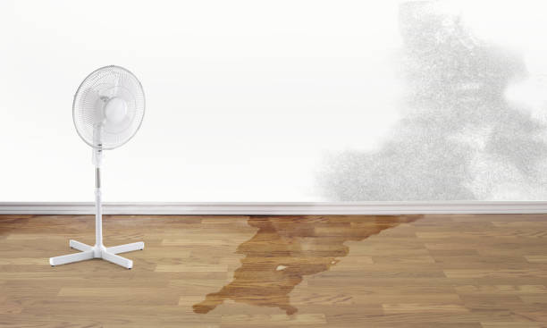 Best Flooded house restoration  in South Brooksville, FL