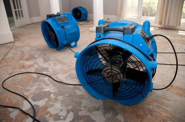 Best Basement water damage restoration  in South Brooksville, FL