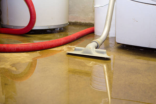 Best 24/7 water damage repair  in South Brooksville, FL