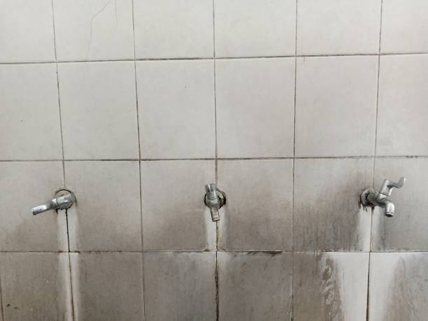 Best Water damage restoration company  in South Brooksville, FL