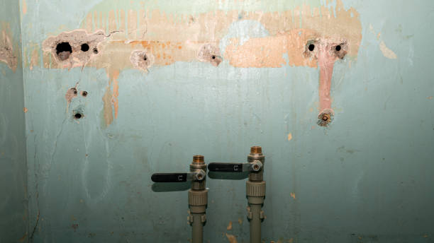 Best Local water damage restoration  in South Brooksville, FL