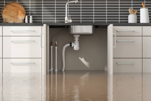Best Flooded house restoration  in South Brooksville, FL
