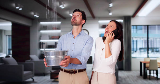 Best Mold removal after water damage  in South Brooksville, FL